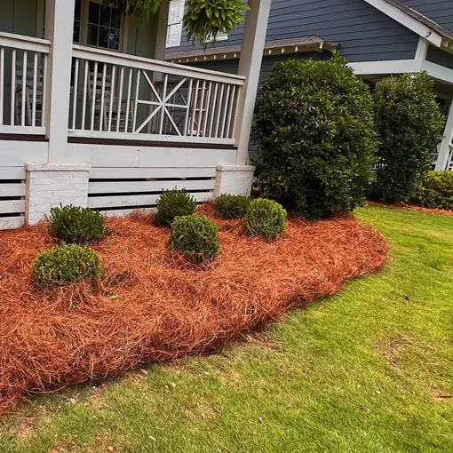 Completed Big Time Lawn Project