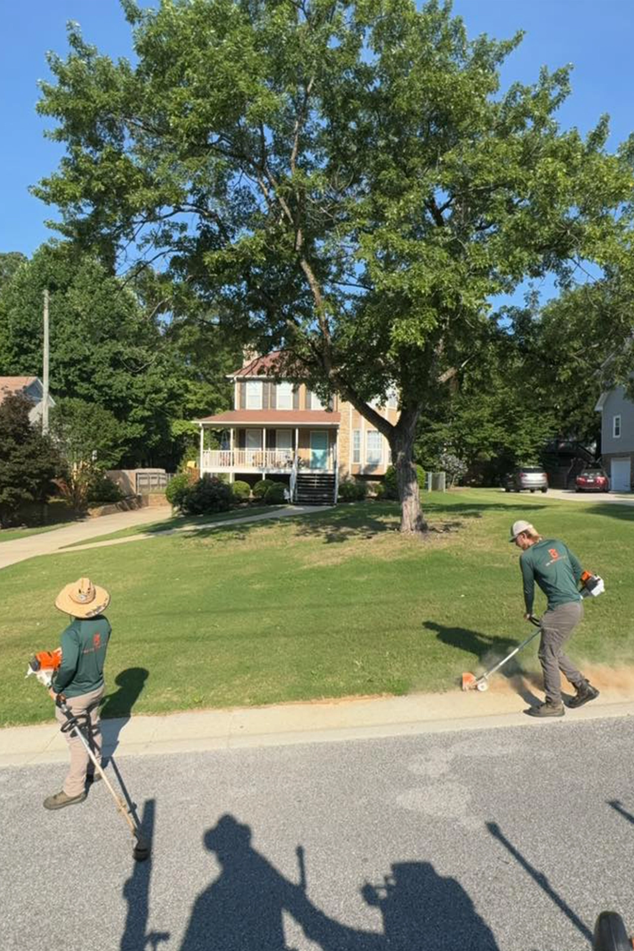 Lawn Maintenance Service